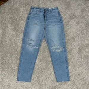 Brand New Mom Jeans